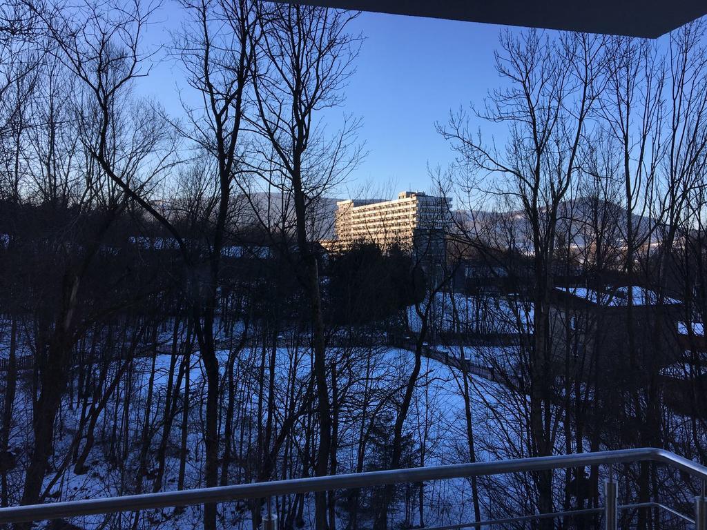 Apartamenty Nad Potoczkiem Устрон Екстериор снимка