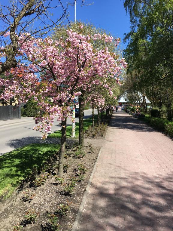 Apartamenty Nad Potoczkiem Устрон Екстериор снимка
